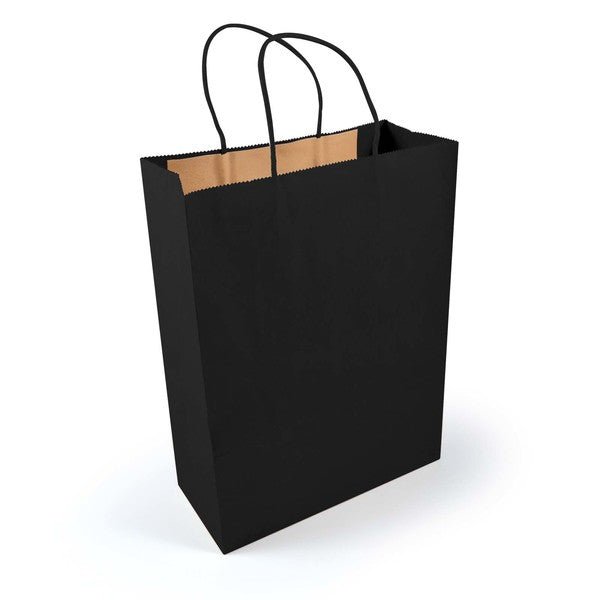 Express Paper Bag - Large - LL549