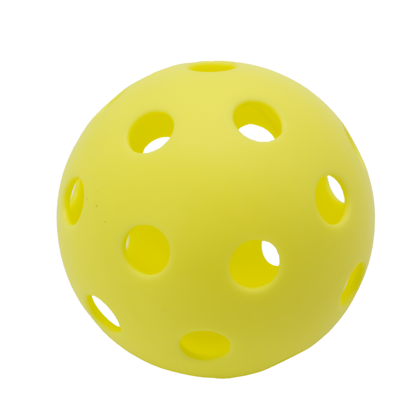 PHIL'S PICKLE BALL SET - T158