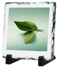 Photo Frames