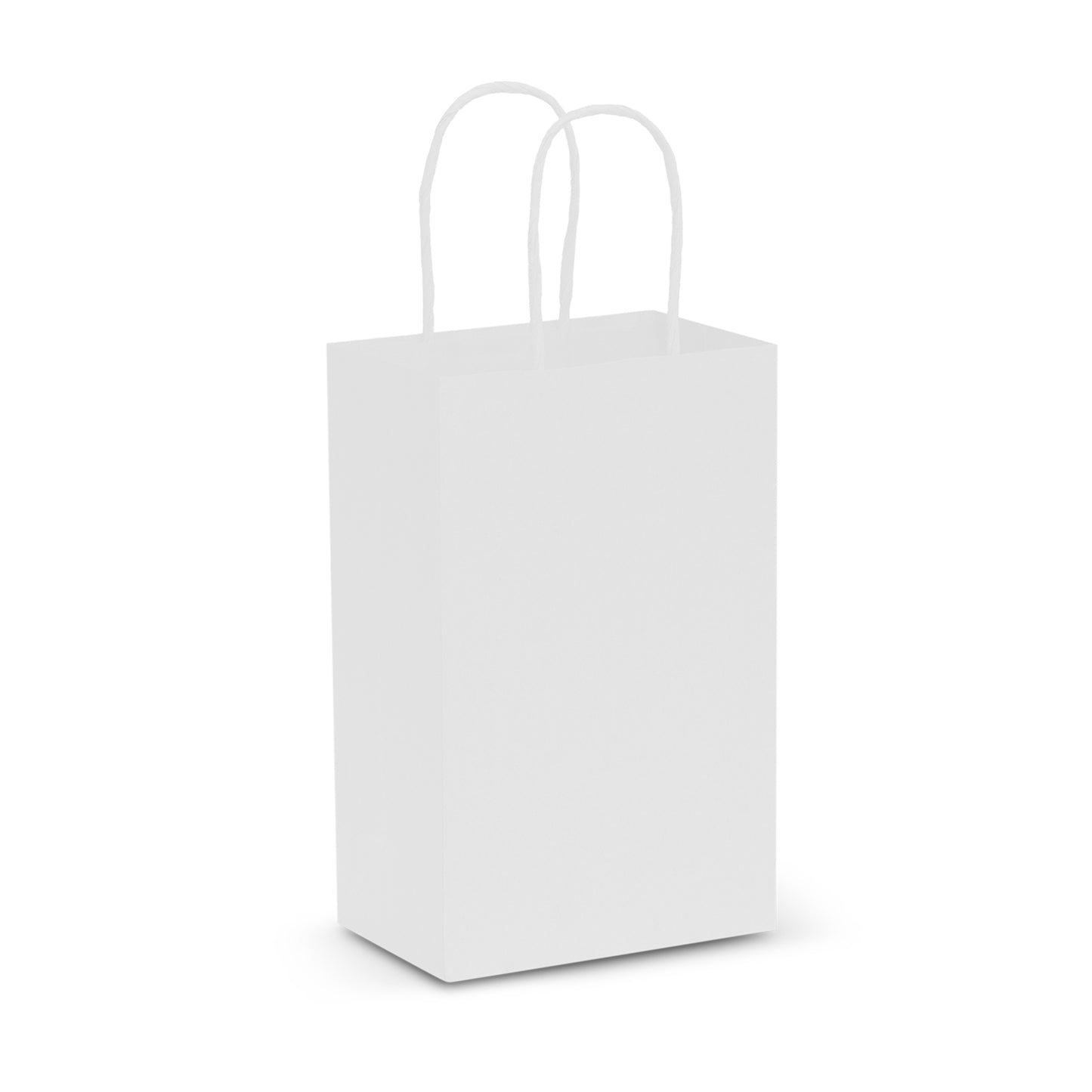 Paper Carry Bag – Small - 107582