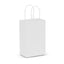 Paper Carry Bag – Small - 107582