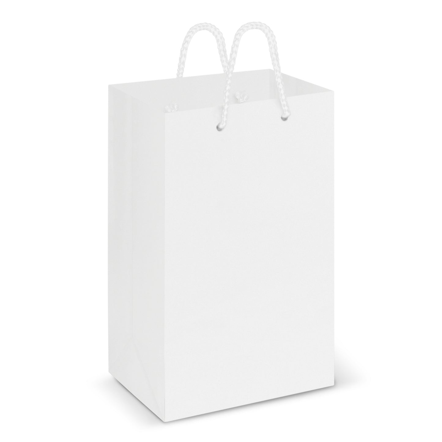 Laminated Carry Bag – Small - 108511