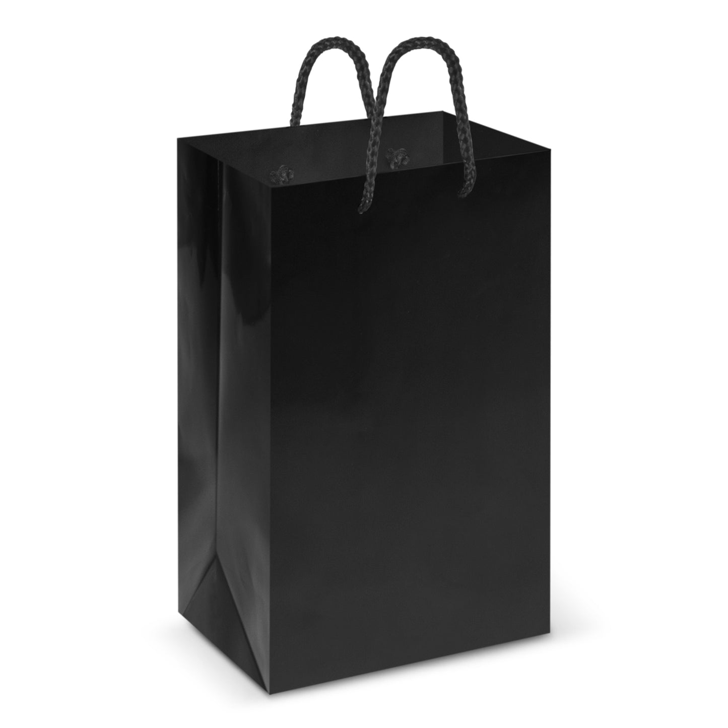 Laminated Carry Bag – Small - 108511