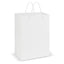 Laminated Carry Bag - Large - 108513