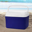 Dunkin Cooler Box 4.5L - CL001