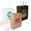 Express Paper Bag - Medium - LL548