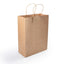 Express Paper Bag - Medium - LL548