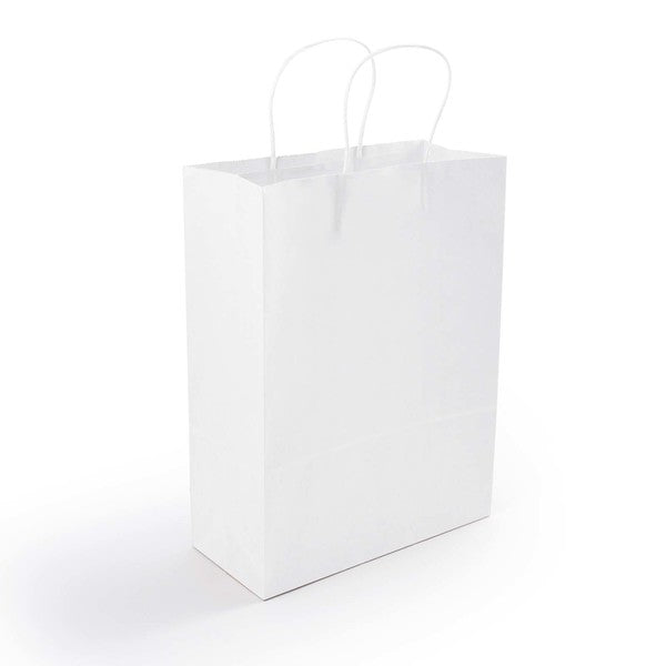 Express Paper Bag - Medium - LL548