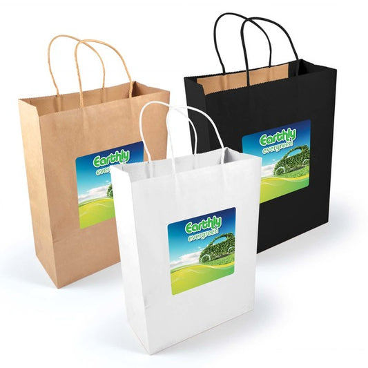 Express Paper Bag - Large - LL549