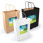 Express Paper Bag - Large - LL549