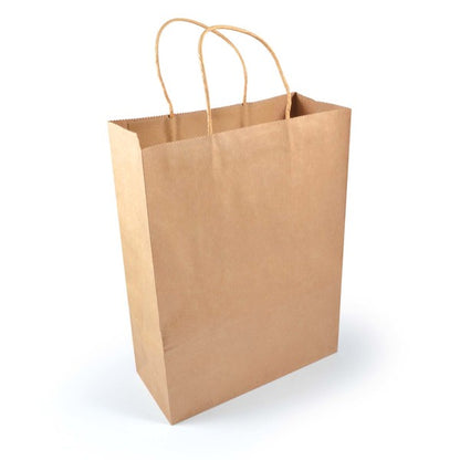 Express Paper Bag - Large - LL549
