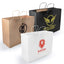 Express Paper Bag - Extra Large - LL562