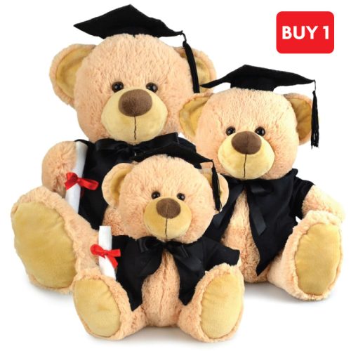 Buddy Graduation Bear - 23cm, 31cm , 40cm