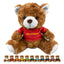 Teddy Bear Plush - PL001