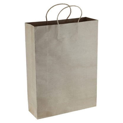 Paper Kraft Shopping Bag - PPB007