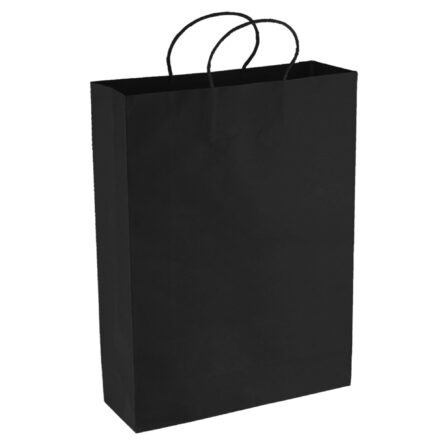 Paper Kraft Shopping Bag - PPB007