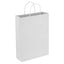 Paper Trade Show Bag - PPB008