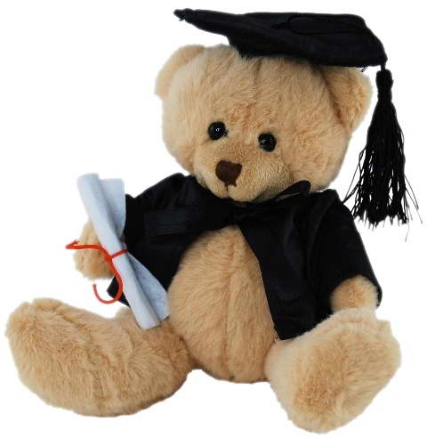 Graduation Bear - 14cm