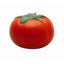 STRESS TOMATO - SV007AC