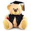 Buddy Graduation Bear - 23cm, 31cm , 40cm