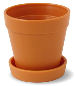 Mini Plant Pot with Seeds