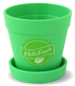 Mini Plant Pot with Seeds