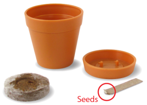 Mini Plant Pot with Seeds