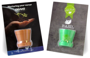 Mini Plant Pot with Seeds