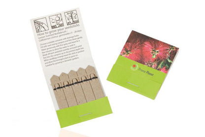 Stick Seed Book - SB5