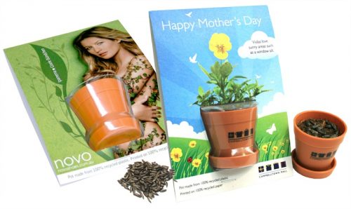 Mini Plant Pot with Seeds